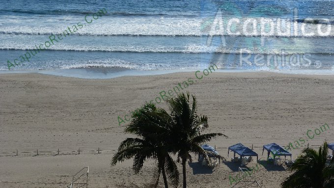 Para volver atrs,
haga clic sobre la foto